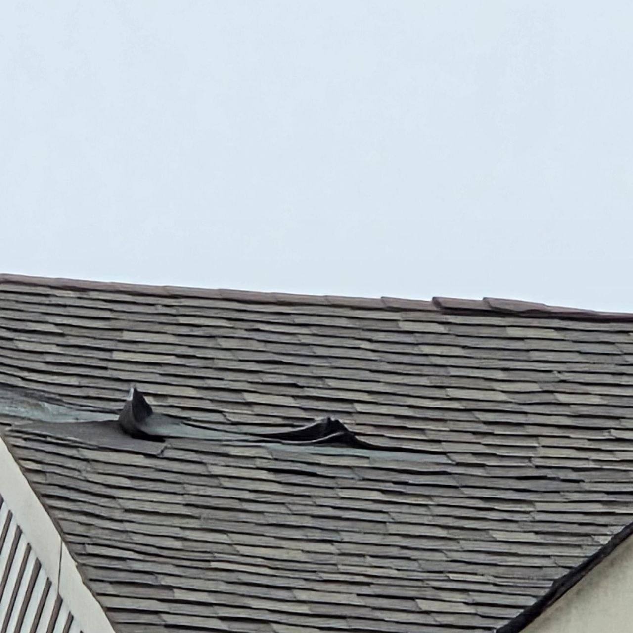 Asphalt shingles lifted and buckled along a roof ridge.